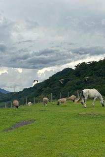 Chalé Bela Vista - Três Cachoeiras - 7