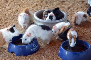 FLAT MONTE CASTELO 4 QUARTOS COM MELHOR LOCALIZAÇÃO GRAVATÁ- Pe - 5