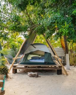 Camping, Glamping y Caravanas Dos Lunas - 0