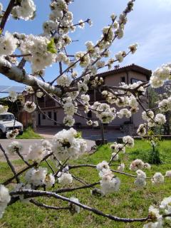 Complejo Rural Las Palomas - 2