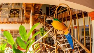 Bright studio in the heart of Las Galeras - 9