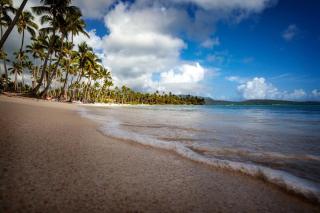 Bright studio in the heart of Las Galeras - 3
