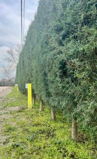 MATKA ECO RV CAMP Campervan & Motorhome Parking in Nature - 0