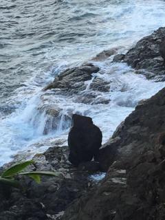 Beautiful Cottage overlooking Sea - 7