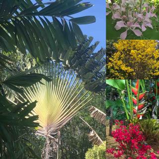 Beautiful Cottage overlooking Sea - 2