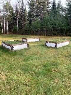 The Oasis of the Valley - 9