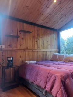 Bosque Venado de Oro - 9