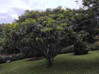 Sitio Cantinho do Céu - 4