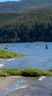 Complejo Pehuen Lago Lanalhue - 3