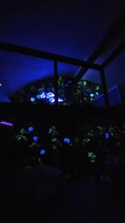 La Suite Pandora - Escape Game I SPA I Sauna - 4