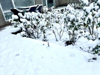 House in Quba - Quba - 5