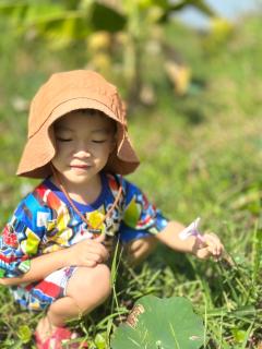 Forest Hill Lanta - 4