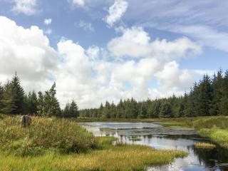 Pinclanty Cottage - 8