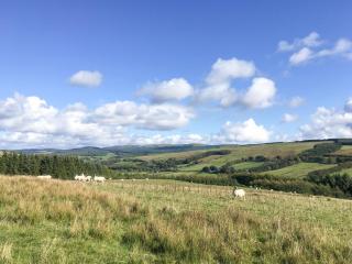 Pinclanty Cottage - 4