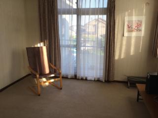 Lemon Sou Guest House - Vacation STAY 15269 - 9