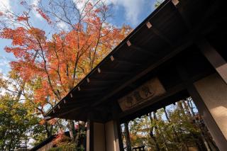 Wa no Yado Sagiritei - 1