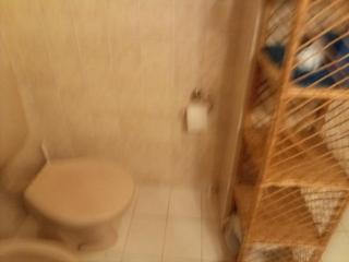 Camere con patio e giardino vicino lago - 6