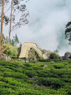 Belihuloya Fattah Camping Resort - 9