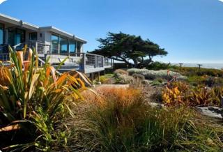 Bodega Bay Magical Ocean Front w/Amazing View! - Bodega Bay - 7