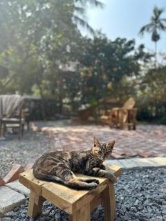 Wood Haven Homestay - 5