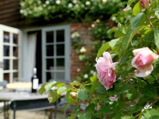 Prospect Cottage - Wittersham - 5