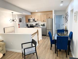 Lavish Luxe 2BD-1BA apartment in Federal Hill - 4