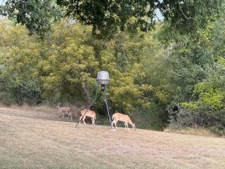 Gorgeous 10 Acre Estate POOL HOT TUB GAME ROOM - 0