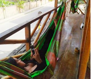 Iguana Party hostel - 4