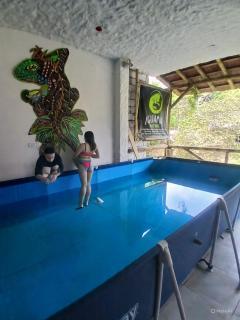 Iguana Party hostel - 2