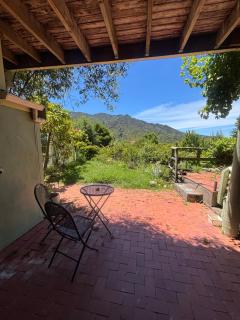 Pukeko at Abel Tasman guest house - 5