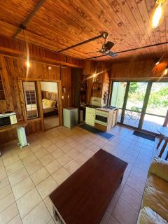 Pukeko at Abel Tasman guest house - 4