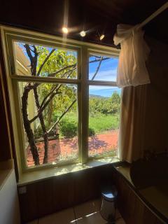 Pukeko at Abel Tasman guest house - 3