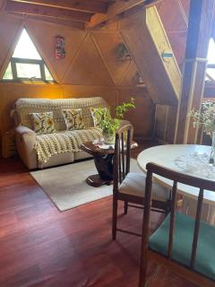 Puerto Varas - Nativa Domo Avellano - 4