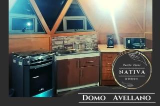 Puerto Varas - Nativa Domo Avellano - 2