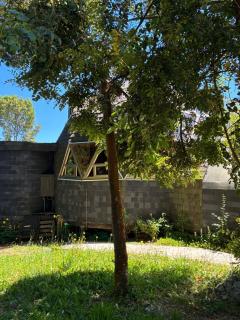 Puerto Varas - Nativa Domo Avellano - 1