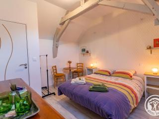 Chambre d'hôtes accueillante face à la Loire avec climasisation - FR-1-622-119 - 8