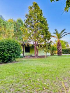 Cabañas NONO MARIO - 8