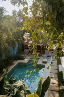 SurfNest Tamarindos - 6