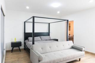 Spacious apartment with private pool by Malecon - 6