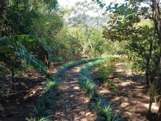 Casa Monstera Monteverde - 4
