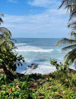 Casa Chilamate - Peaceful stay in Cocles - 9