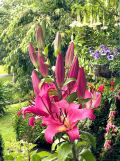 The Hill House Panorama - 8