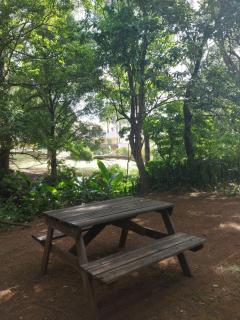 Studios Soleil du Sud - 1