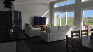 The Quiet Paddock - 1