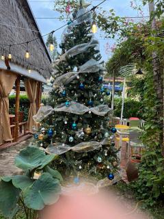 Tropical Garden Phu Quoc - 1