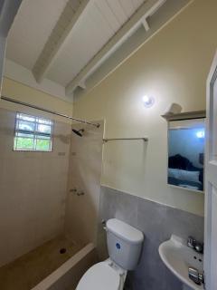 RHE Drax Hall Ocho Rios Palm Gated Pool Gym Beach - 9