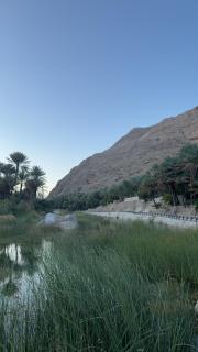 Wadi hawer tour guiding and local farm tour - 1