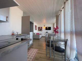 PENTHOUSE 10 MIN port croisière et aéroport - 7