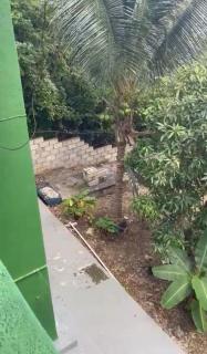 Traditional Cottage Charm - 8