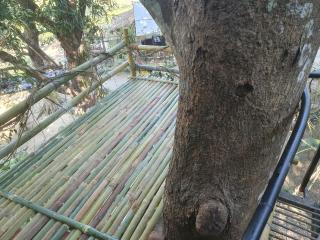 Pemsee's Tree Town - Eco Treehouse Hostel - 7